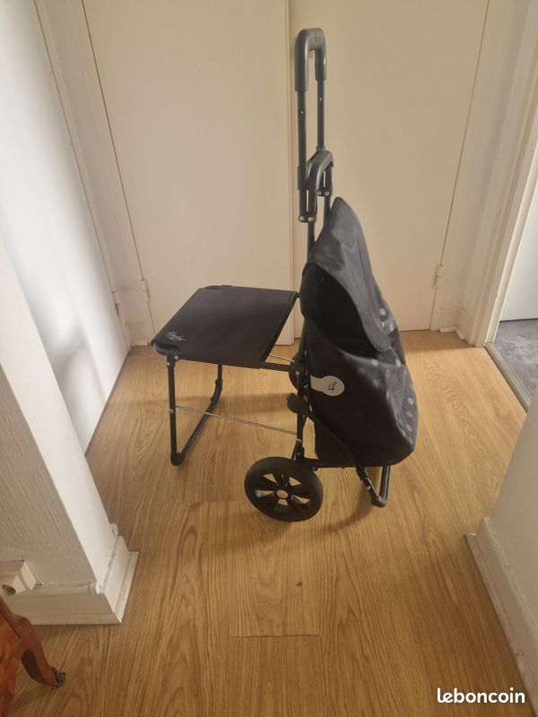 Caddie de courses (image 2)
