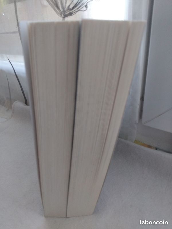 L'or maudit T1 et T2 par Mireille Calmel (image 11)