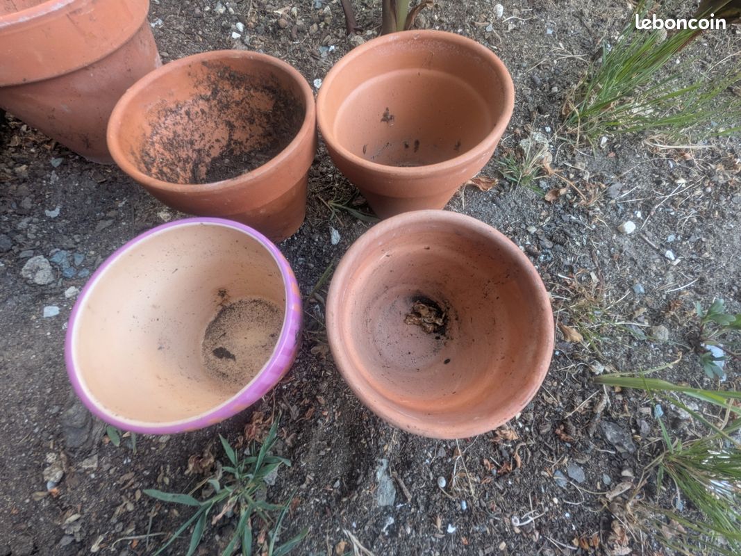 Pot de fleurs (image 3)