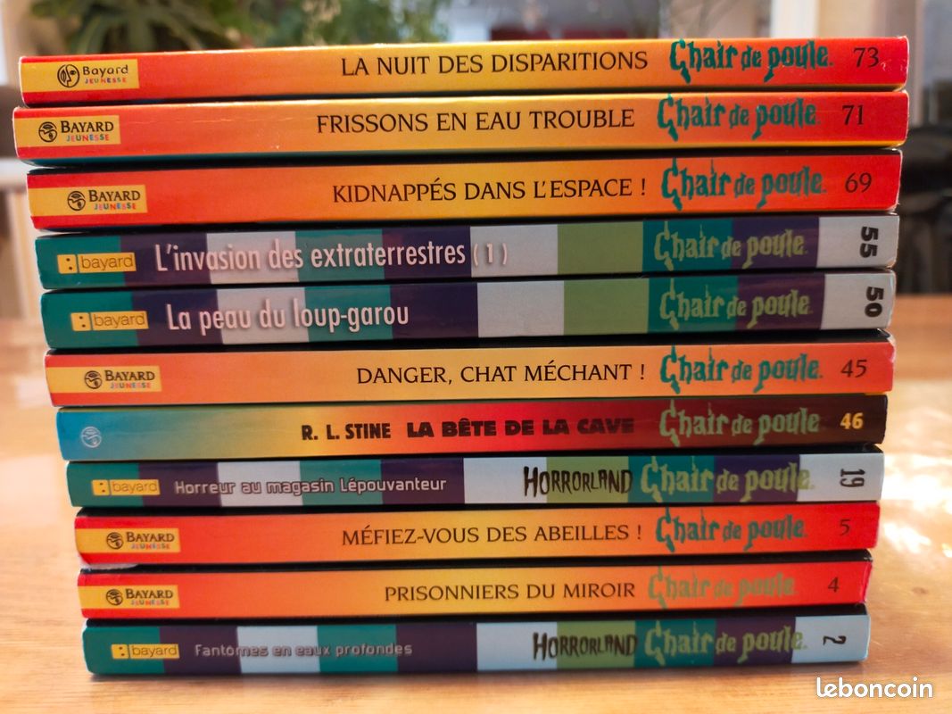 Livres chair de poule (image 3)