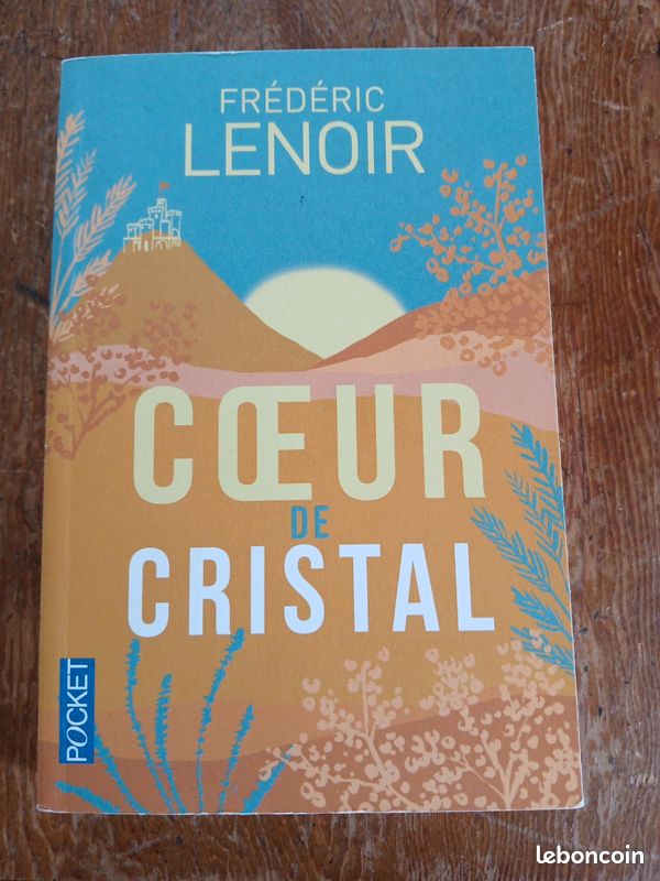 Livre Cœur de cristal, Frédéric Lenoir (image 2)