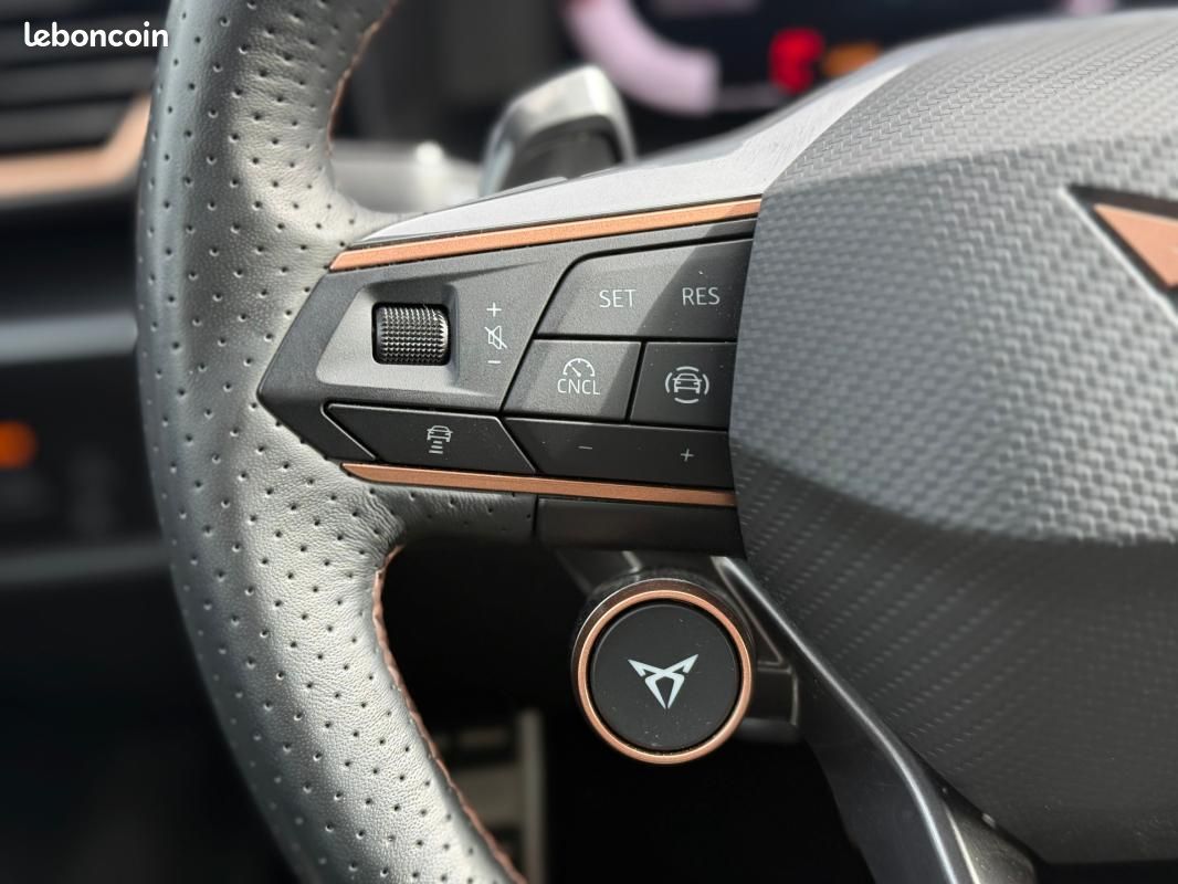 Cupra Formentor 2.0 TDI 150 ch DSG7 V (image 18)