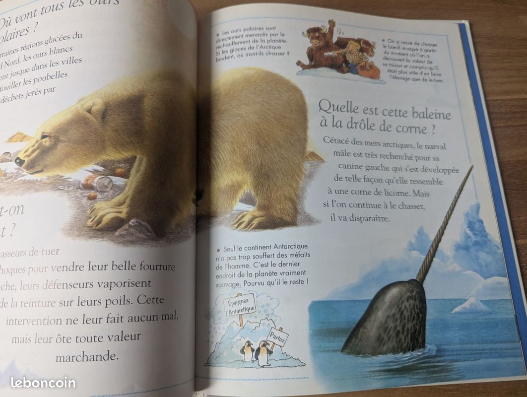 Questions/réponses - 6/9 ans - Le corps humain - Les animaux menacés (image 6)