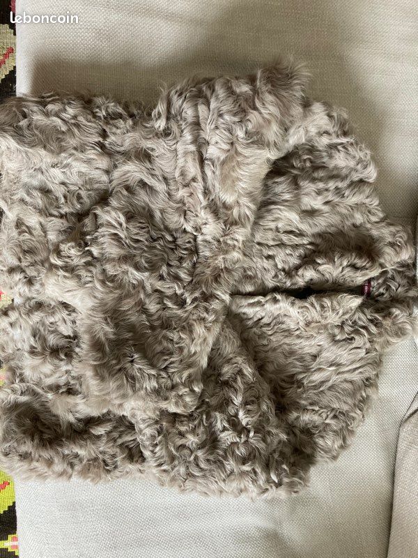 Veste en agneau comptoir des cotonniers