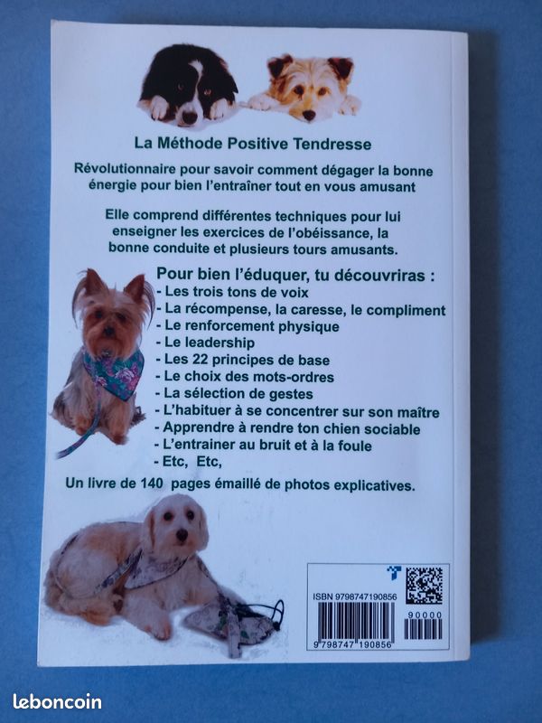 Entraîner ton chien facilement en seulement 15 minutes par jour " découvre la méthode positive tendresse tout en vous amusant " (image 3)
