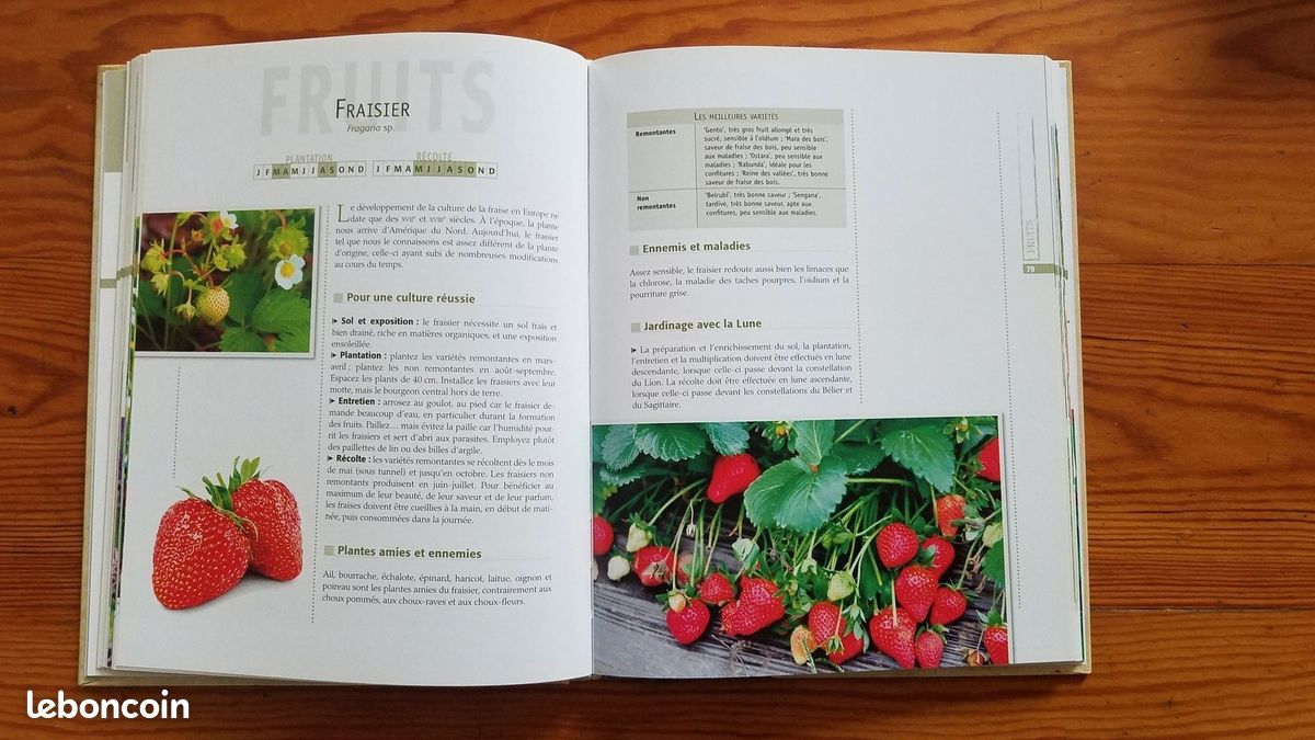 Livre Travaux au jardin avec la lune (image 3)