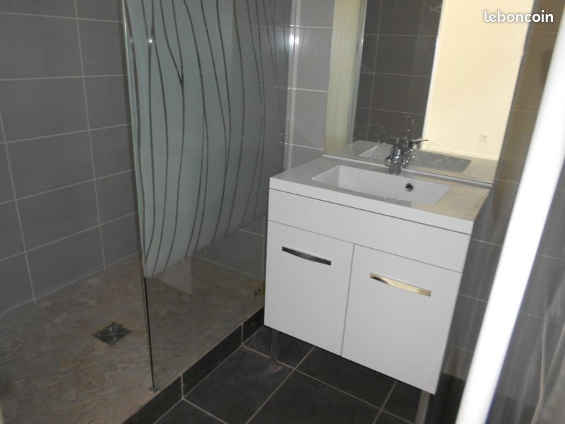 Appartement 2 pièces 47 m² · à Saint-Étienne · 47 m² · 490 €/mois
