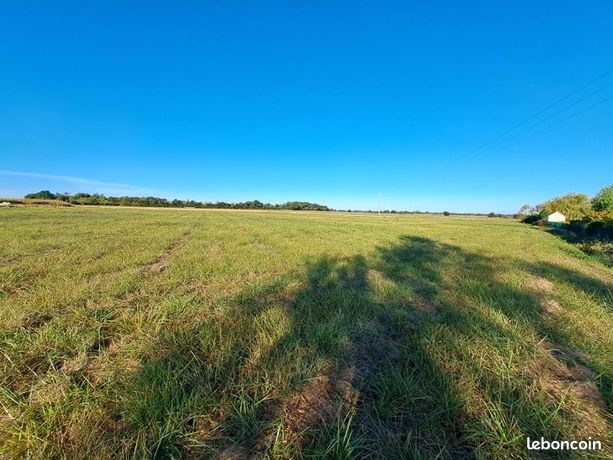 Terrain 7 600 m² Leigne Les Bois