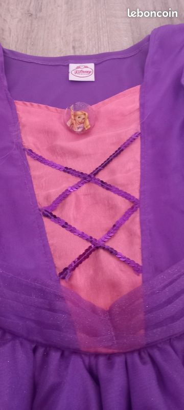 Déguisement raiponce (image 2)
