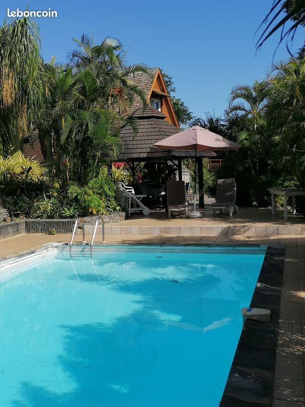 Chalet tillandsia (image 2)