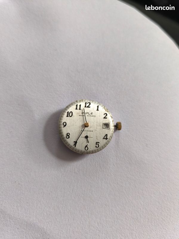 Pièce D'horlogerie Pour Montre : Roue FE 233-66 - Pièce Détachée Générique, Neuve Sans étiquette