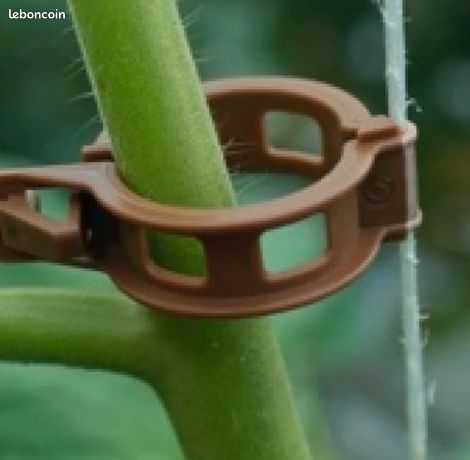 Lot De 100 Clips Réutilisables Pour Plantes – Attache Tomates, Concombres, Rosiers, Transparent, Résistant Intempéries