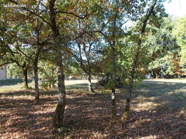 Votre terrain viabilisé de 1650m2 à 28euros le m2