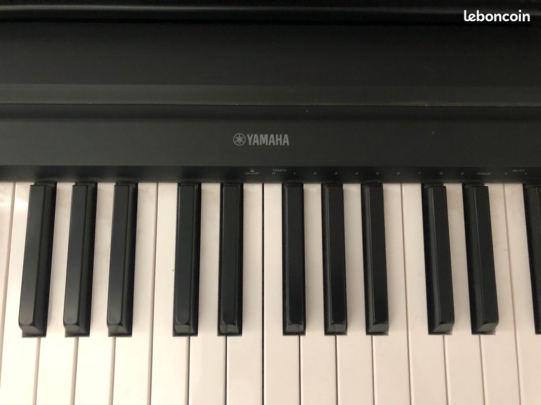 Vend clavier yamaha p45 (image 3)