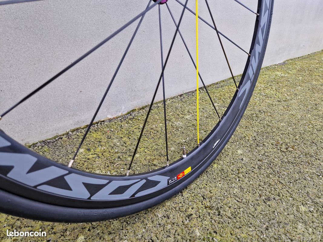 Fourche Avant Campagnolo Pour Vélo Route 700 – Occasion – En Acier