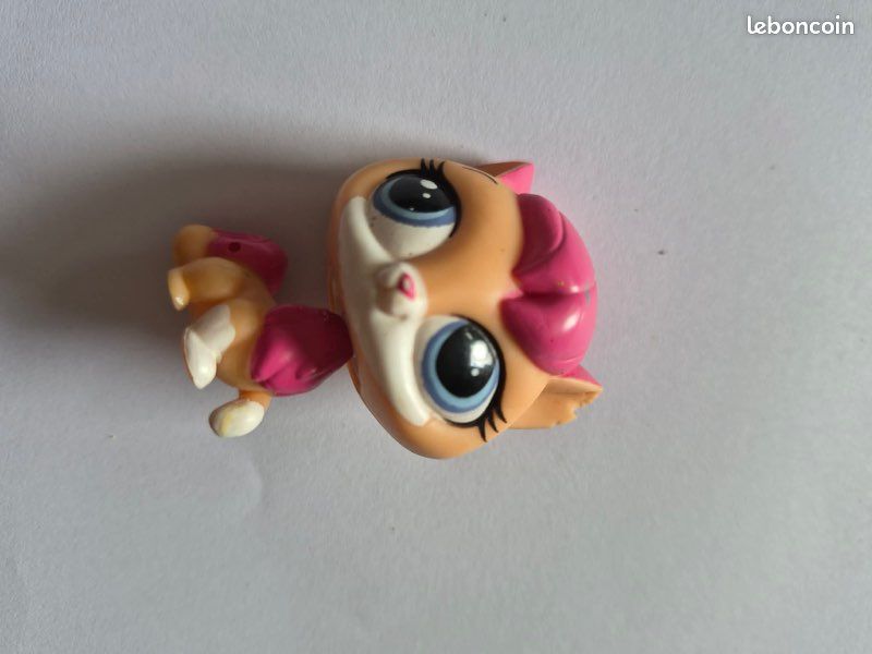 Lot 16 pet shop (image 17)