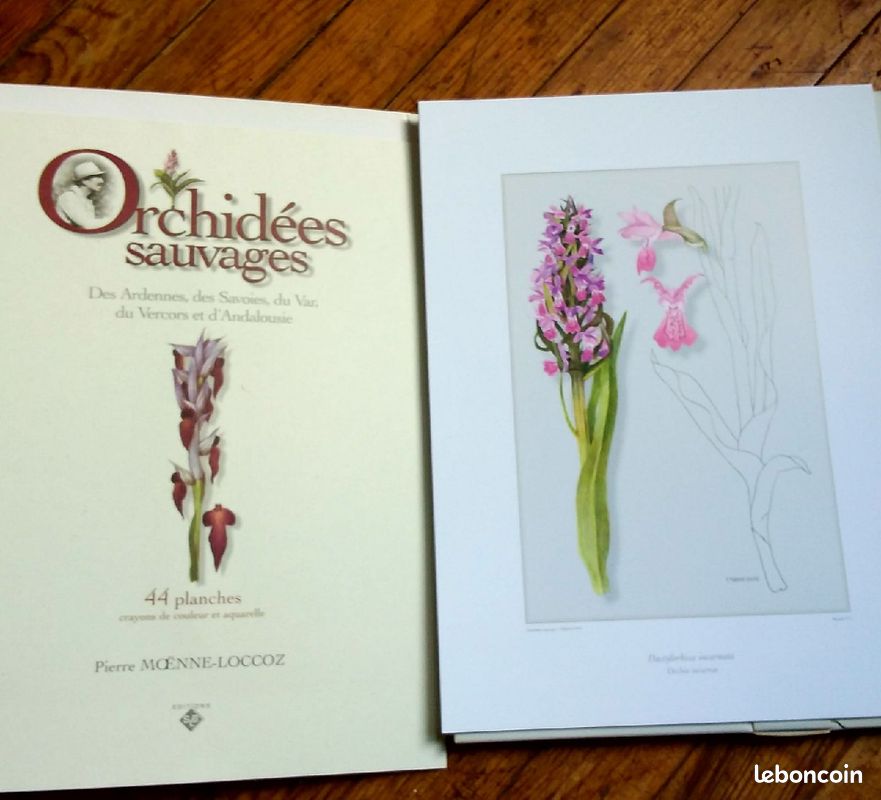 Coffret de dessins d'orchidées (image 2)