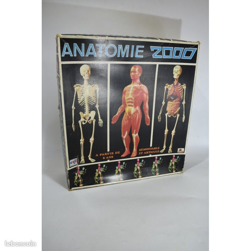 Jeu Anatomie 2000 – Modèle Humain échelle 1:3, 59cm, Occasion