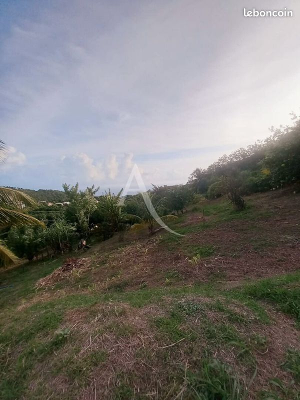 Terrain 1491 m² · à Le Morne-Vert · 1 491 m² · 167 000 €