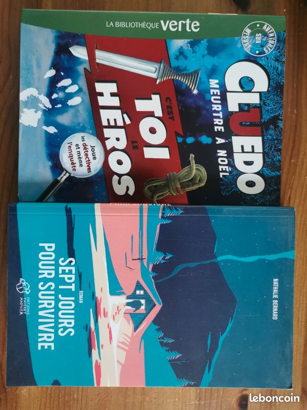 Livres jeunesse 12 ans (image 1)