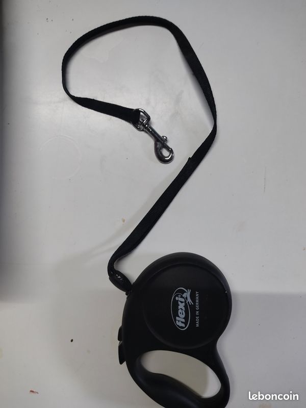 Laisse Flexi pour chien (image 1)