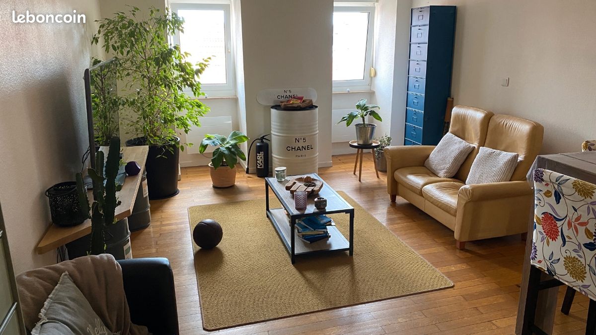 Appartement 2 pièces 55 m² · à Sarreguemines · 55 m² · 540 €/mois