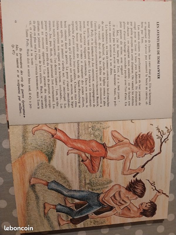 Les aventures de Tom Sawyer (image 2)
