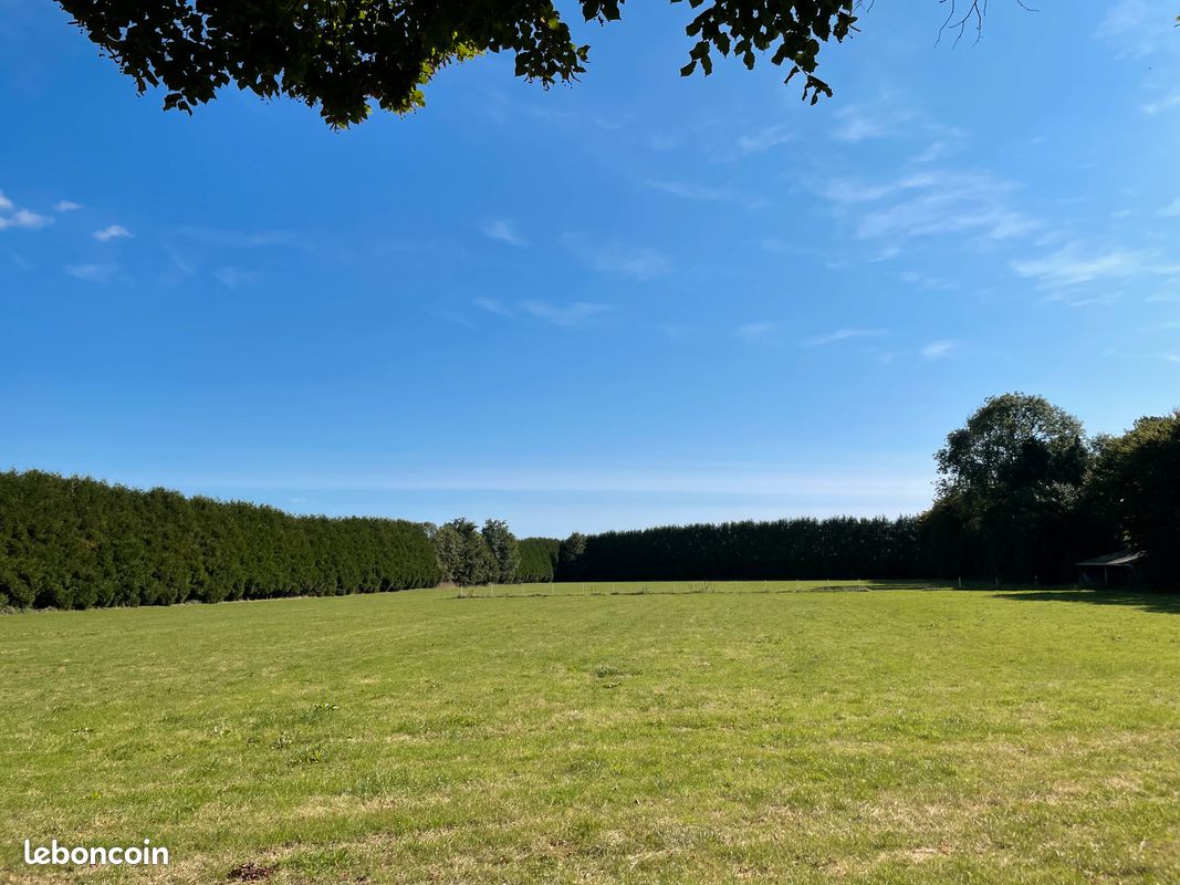 Prairie pour chevaux · à Campigny · 50 €