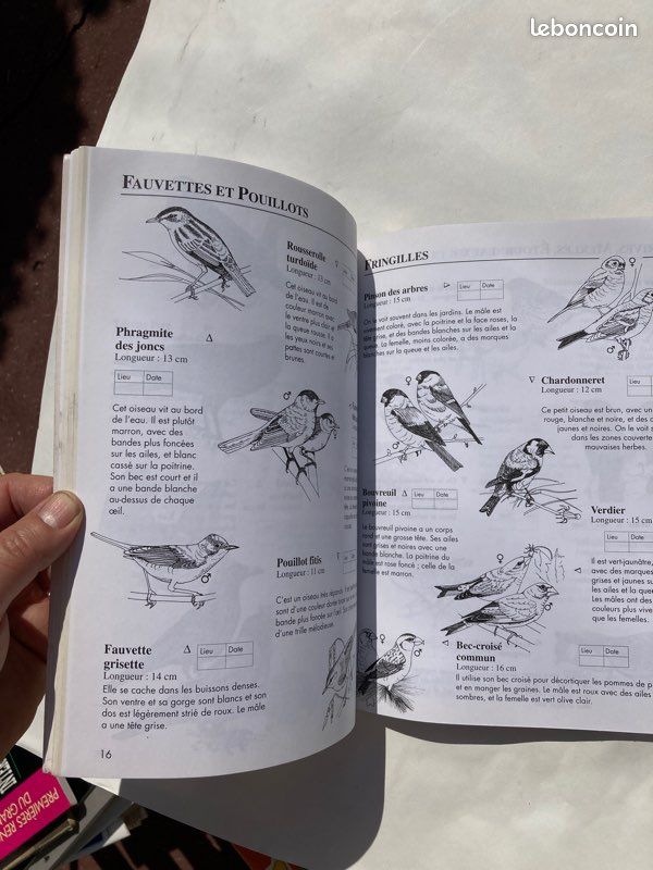 Livre « Autocollants Nature » - Oiseaux (image 6)