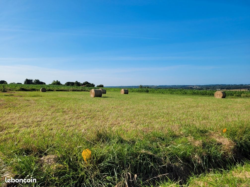 TERRAIN 719 m² · à Bazus · 110 000 €