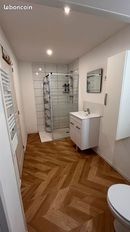 Appartement 2 pièces Entièrement Rénové