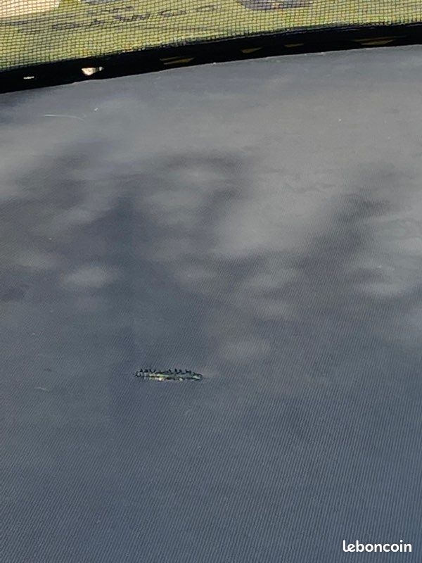 Trampoline (image 4)