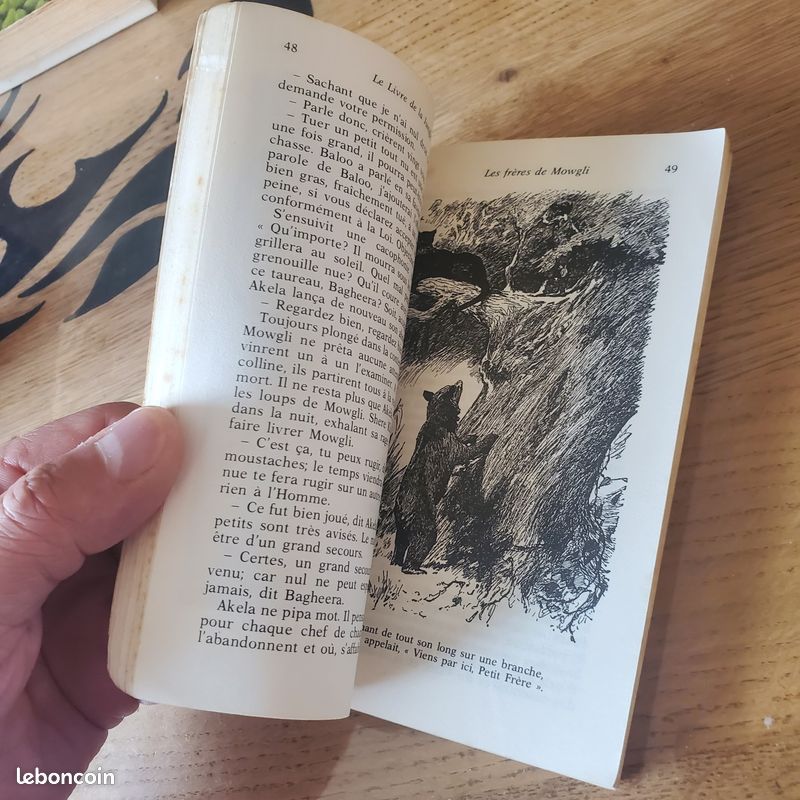 Le Livre de la Jungle – Rudyard Kipling (image 3)