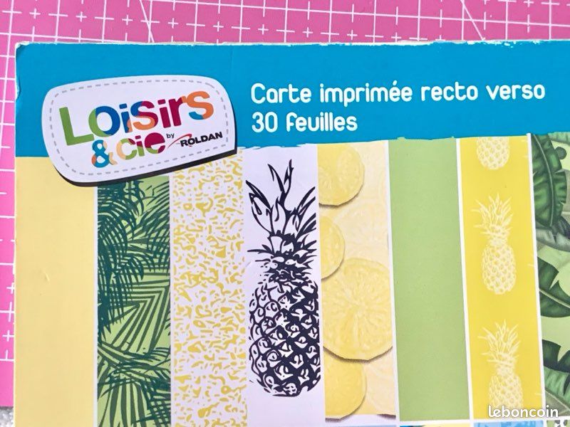 Bloc 30 cartes imprimées recto verso Loisirs & Cie by Roldan (image 9)