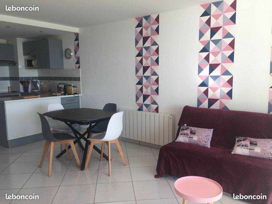 Canet plage, bel appartement taversant,front de mer (image 6)
