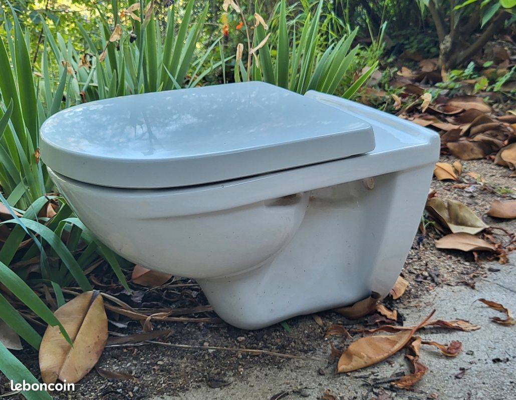 Cuvette WC suspendue Villeroy&Boch (image 1)