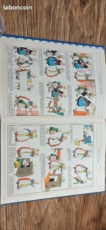 Bécassine en apprentissage (image 6)
