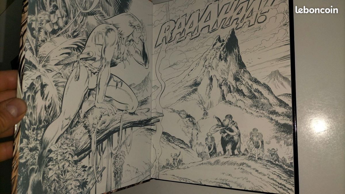 Bande dessinée rahan (image 8)