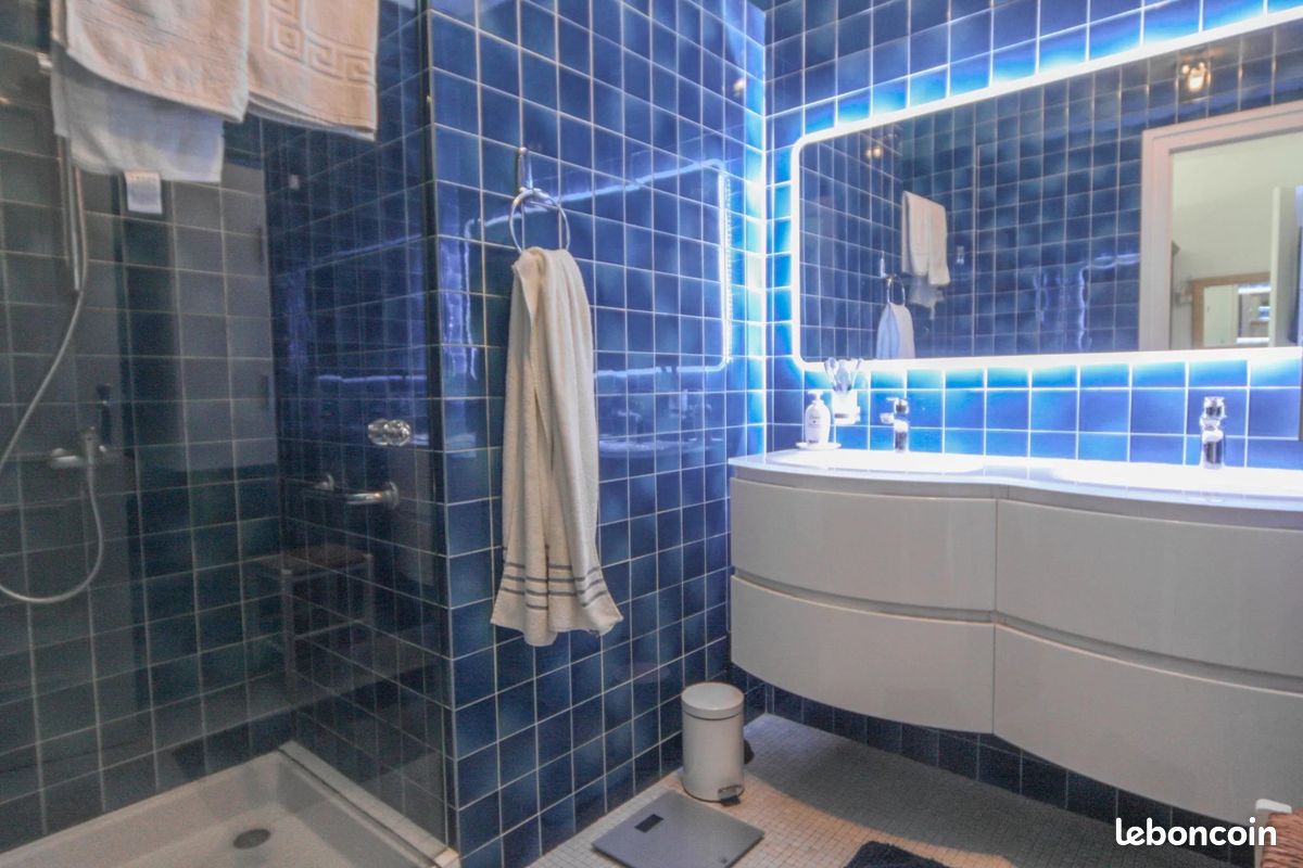 Maison 10 pièces 250 m² (image 14)