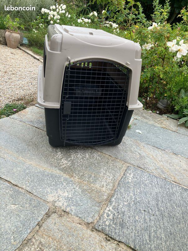 Caisse transport chien (image 1)