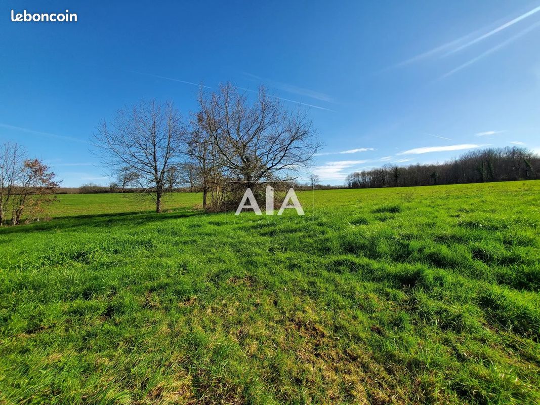 Maison 5 pièces 165 m² - Ruffec 16700 (image principale 9)