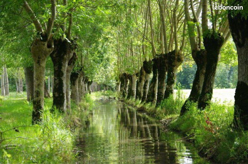 Location marais poitevin (image 6)