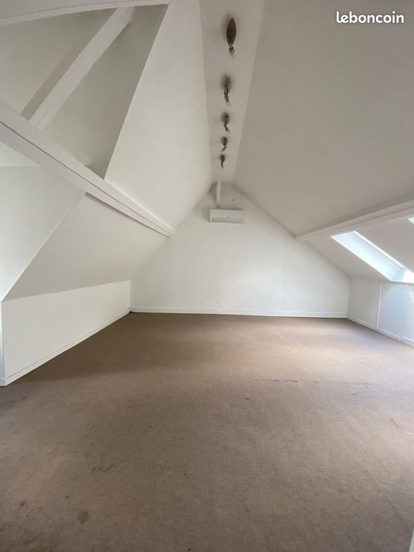 Duplex 11 pièces 280 m² (image 3)