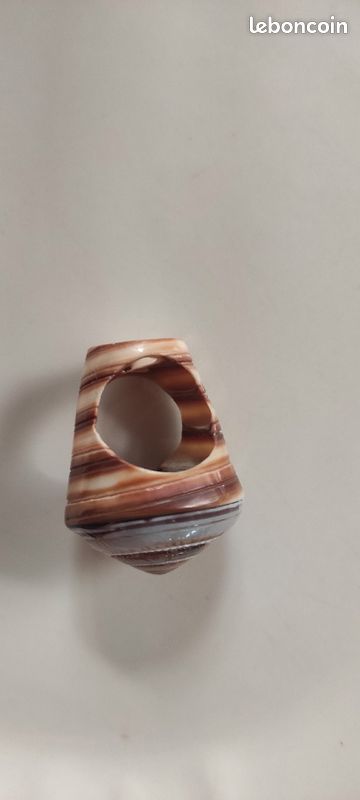 Bague coquillage (image 2)