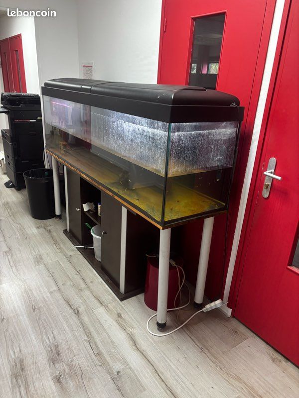 Aquarium avec accessoires et meuble (image 2)