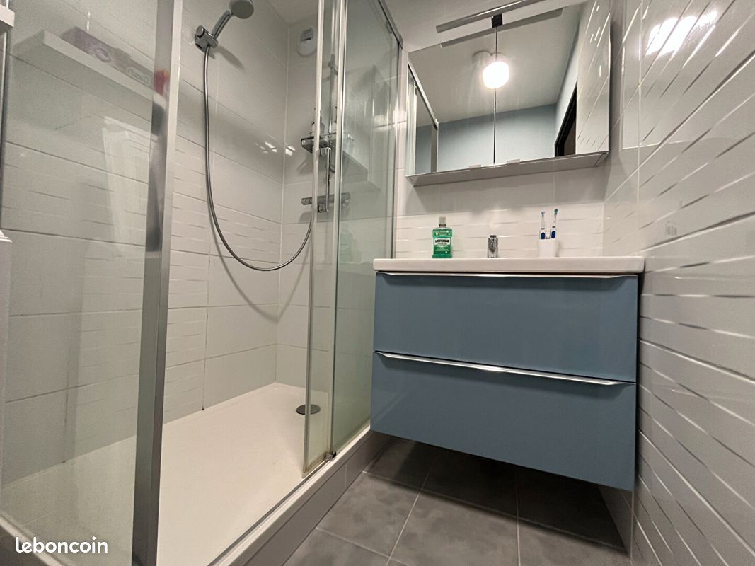 Appartement 3 pièces 53 m² - Bordeaux 33000 (image principale 4)