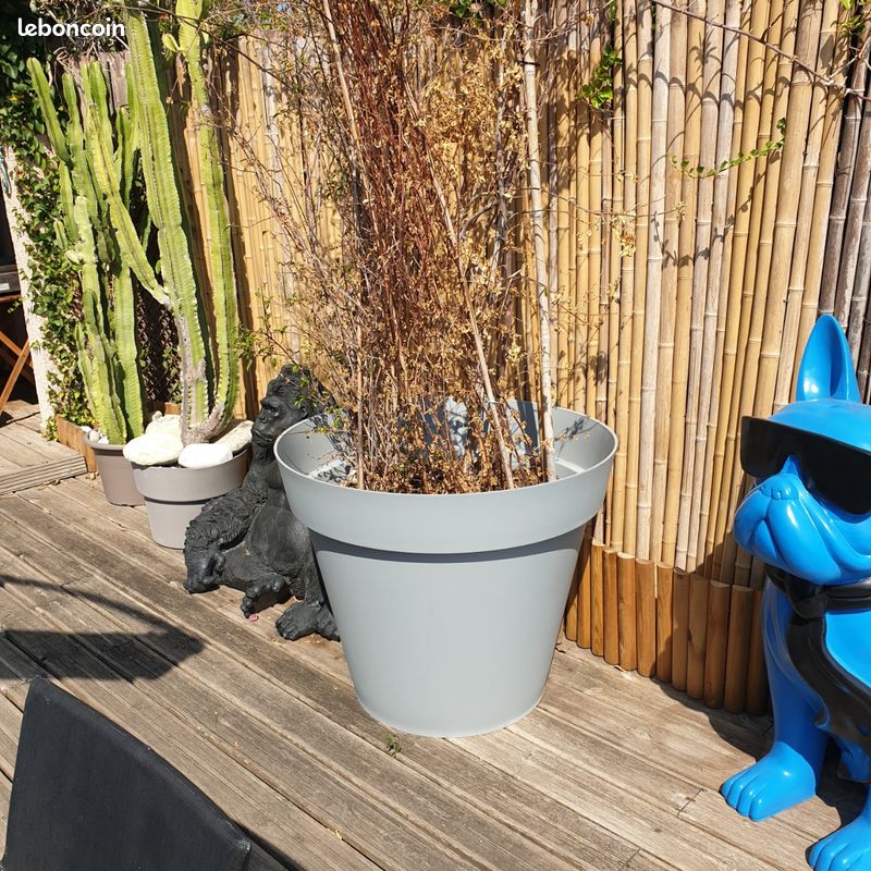 Grand pot plastique 100cm (image 2)