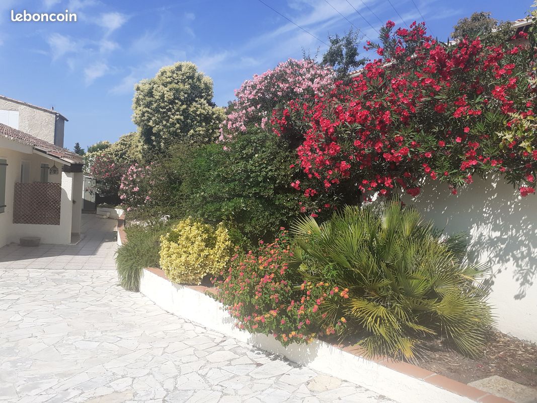 Villa de vacances (image 1)