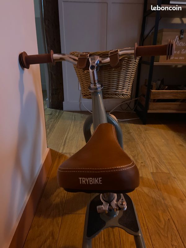 Draisienne (image 3)