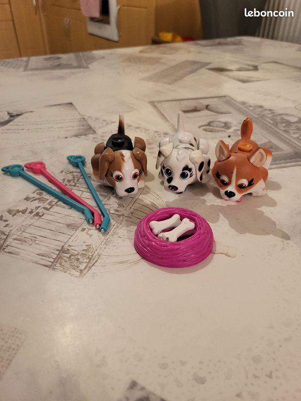 Chien pet parade (image 2)